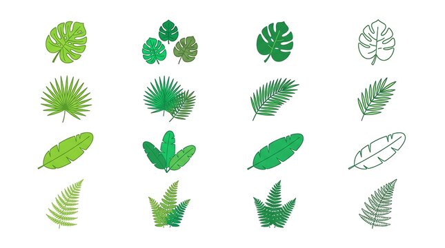 AI generated tropical leaf icon set including monstera, palm, banana, and fern leaves isolated on white background.