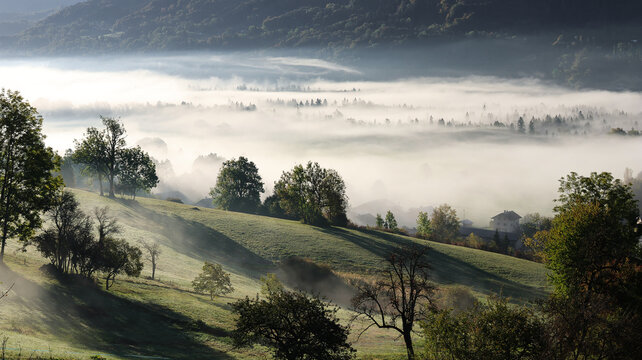 View of a misty autumn morning in the Alps with rolling green hills, scattered trees, and a thick layer of fog covering the valley floor in Taninges, Auvergne-Rhone-Alpes, France.