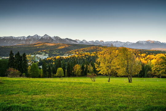 View of Belianske Tatras mountains rising above autumn forests and a green meadow in Lapszanka, Lesser Poland Voivode, Poland.