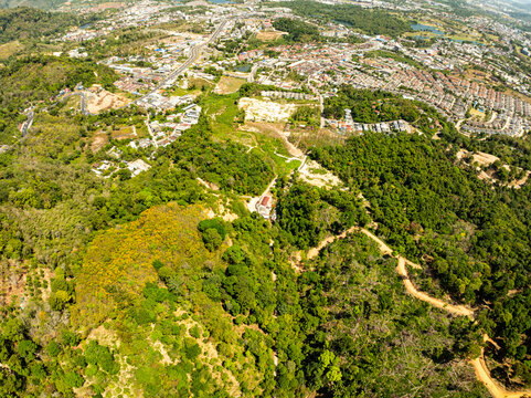 Top view forest green nature background