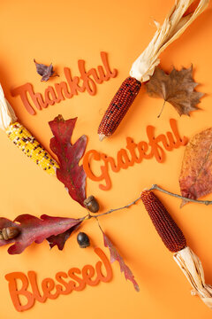 Thankful, Grateful, and Blessed text on a bright orange background with colorful autumn leaves and multicolored corn for a festive greeting.