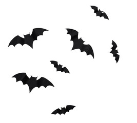 Fototapeta na wymiar Black bat silhouettes flying across a white background at night