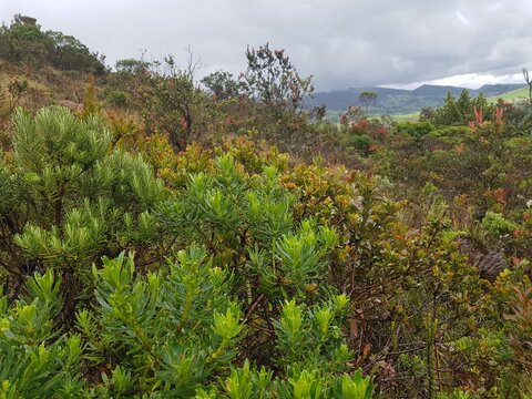 Naturaleza: mar, selva, vida, color