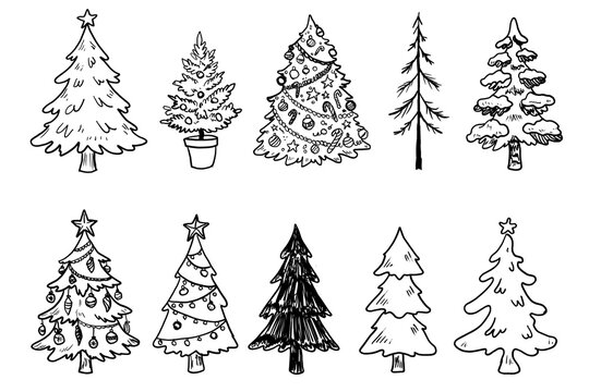 Hand drawn doodle Christmas trees set with decorated fir trees, snowy pine trees, potted tree and bare evergreen in black line art