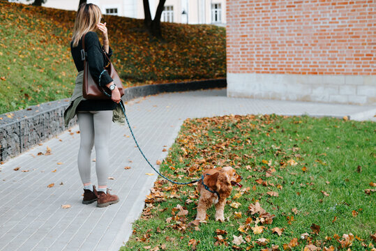 A woman stands on a paved path holding a leash as a small brown dog walks through fallen leaves. Grass, trees, and a brick building surround them