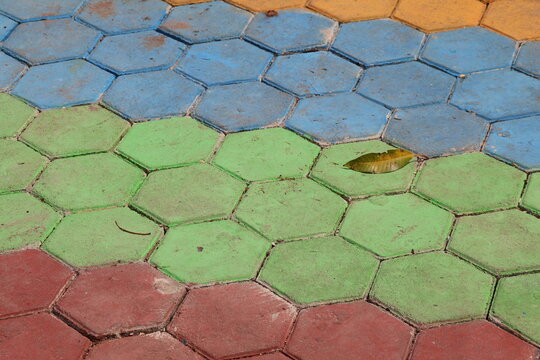 Colorful paving blocks installed on the ground create a durable decorative surface for outdoor pathways, gardens, sidewalks, and landscaping projects.