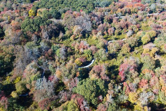Colorful autumn foliage is found in a coastal forest on Cape Cod, Massachusetts. This scenic destination is on the outer part of Cape Cod, not far from the Atlantic Ocean.