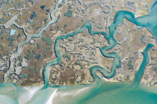 A beautiful salt marsh grows in Orleans, Massachusetts. Salt marshes are an incredibly important coastal habitat used by many species of fish, birds, and shellfish.