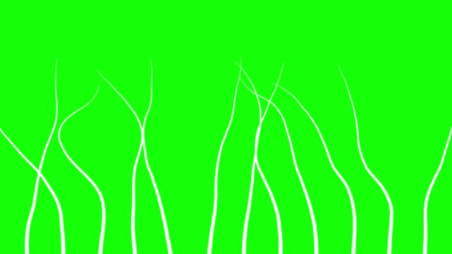 Abstract Minimalist White Tentacles Waving Green Screen Overlay