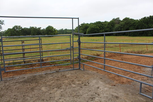 Gray steel corral pen corner with tall gate frame and green pasture