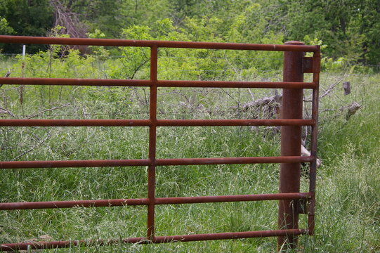 Weathered rusty pipe gate against tall weeds and brush