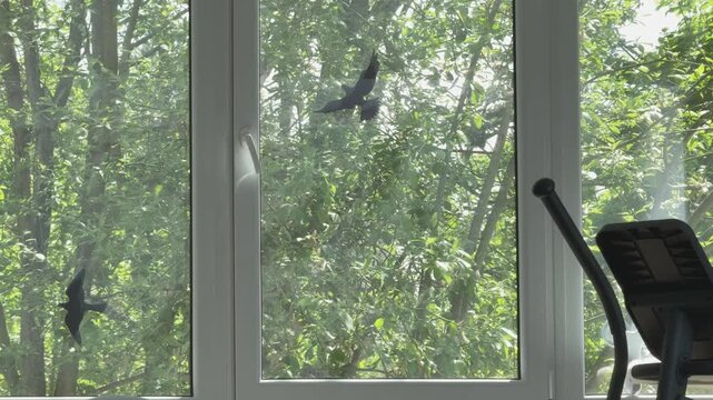 Fresh spring foliage fills the view beyond a window, with soft light filtering through the branches. 