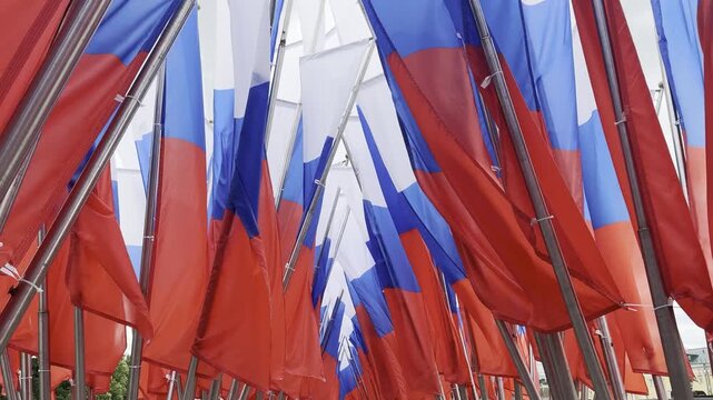 Russian tricolor flags waving closely together, filmed at eye level from within a dense row of flagpoles. 4K video for patriotism, homeland, statehood, national identity, symbol and civic themes.
