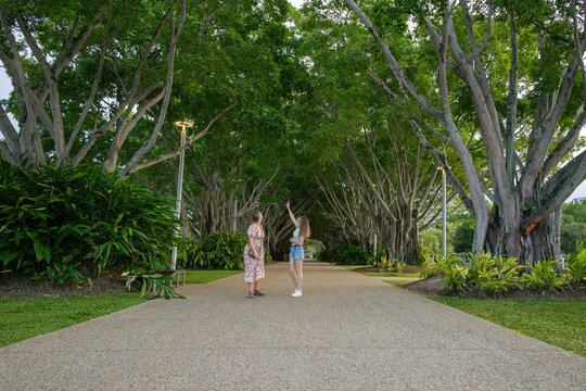 Two women walking along a wide, tree-lined pathway at the park, one pointing towards the trees
