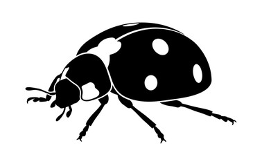 Spotted ladybug crawling silhouette on transparent background © ZamStock
