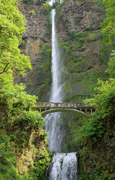 Vertical scenery with Multnomah Falls - Oregon