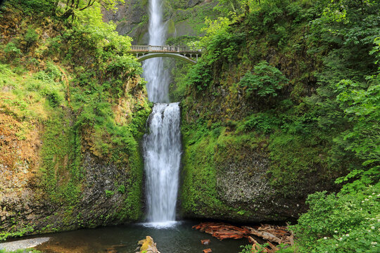 Green landscape with Multnomah Falls - Oregon