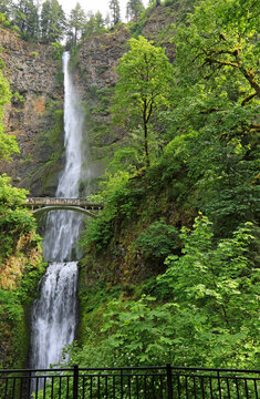 The fence and Multnomah Falls vertical - Oregon