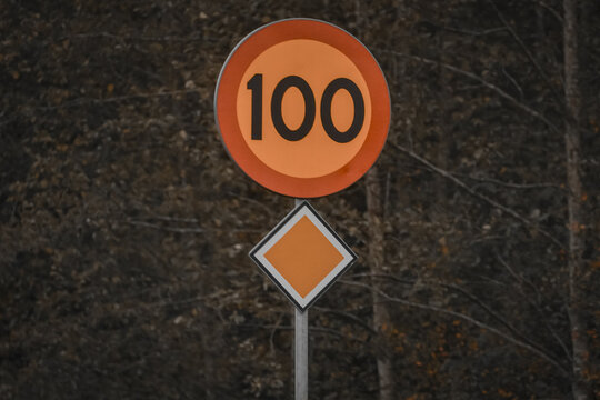 View of a 100 kmh speed limit sign and a priority road sign mounted on a metal pole against a backdrop of trees in Sweden.