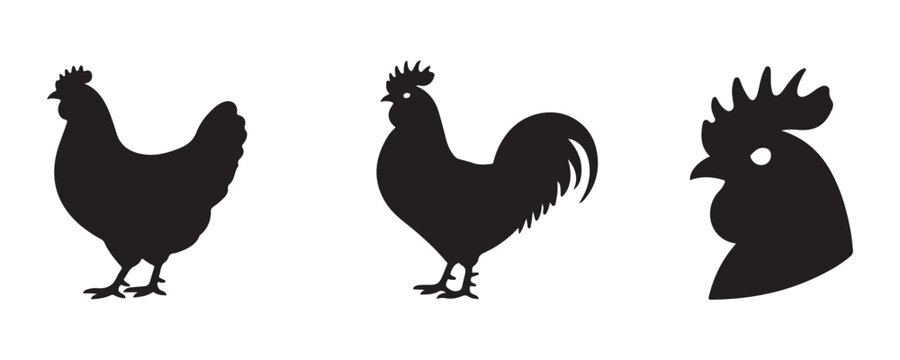 Chicken and rooster silhouette collection featuring side profile views and detailed farm poultry head icons.