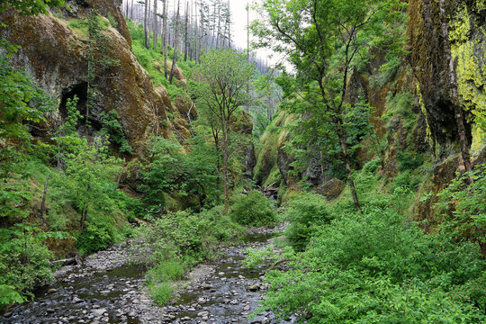 Oneonta Gorge, Oregon