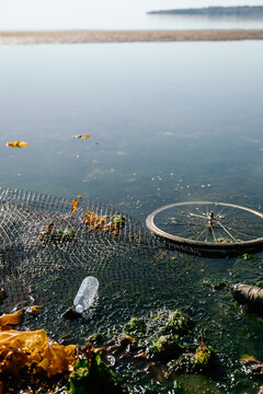 Beach pollution with plastic bottle and bicycle wheel in shore