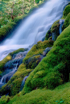 Upper Proxy Falls summer morning mossy rocky green medium format film