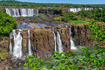 Scenic landscape of massive Iguazu Falls pouring over brown canyon rocks into a wide river in South America wilderness © Yuliko