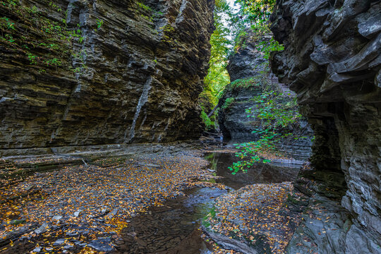 Glen Creek as it flows through the gorge it carved through ancient rock strata of the Devonian Sea.