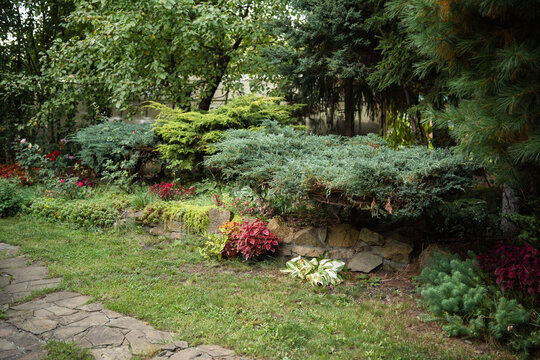 Cozy landscaped backyard garden with juniper shrubs, stone retaining wall and flagstone path