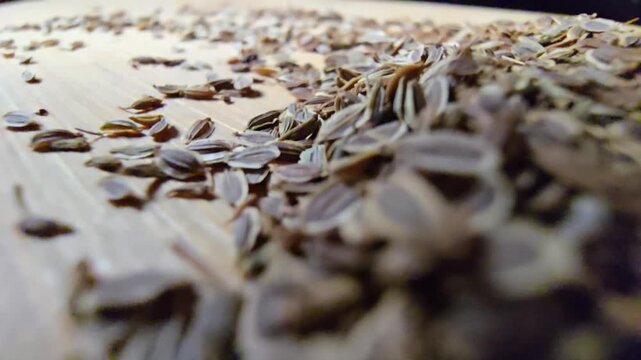 A close-up, low-angle tracking shot of dried dill seeds scattered across a wooden cutting board.