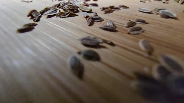 Low angle macro shot of dry dill seeds scattered on a wooden cutting board, highlighting close-up organic textures and details