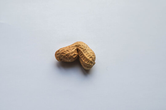 Peanut in the shell