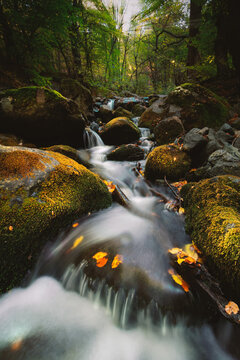 Autumn Mountain Stream Cascading Over Moss-Covered Rocks in a Forest