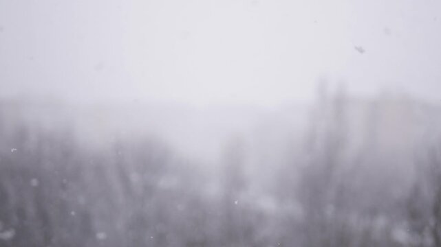 Snowing in winter season. White and Small Snowflakes Falling Down from the Sky in a Cold Winter Day.