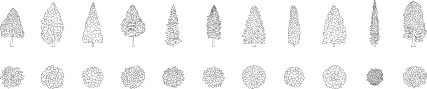 Coniferous trees, plant, cypress, hemlock, pine, evergreen trees, landscape, architectural plan, front and top view, blueprint, symbol, editable stroke, vector