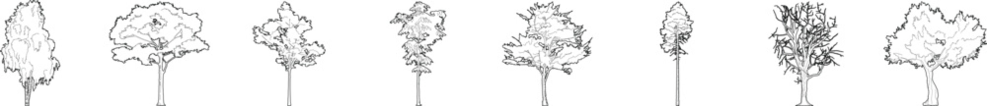 isometric tree, line art, architectural plan, elevation, plant, landscape design, cad, editable stroke, vector, illustration
