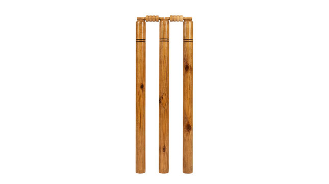Three polished wooden cricket stumps standing upright in a row, showing natural wood grain and knots, topped with two wooden bails resting across the grooves, isolated on a white background
