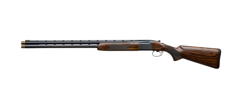 Modern hunting shotgun with wooden stock