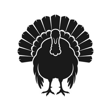 Black silhouette of a wild turkey with spread tail feathers in a vector illustration