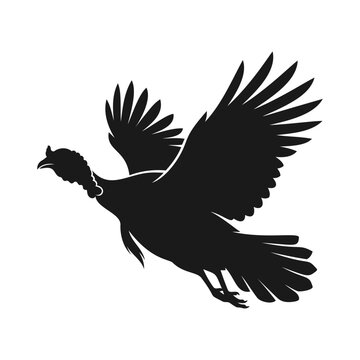 Wild turkey silhouette flying with wings spread in vector illustration