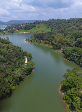 Scenic view of a tranquil lake surrounded by dense forest