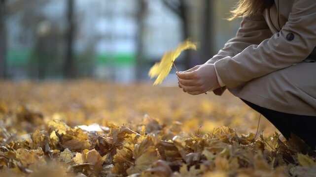 Woman crouches in beige coat, picking a yellow maple leaf from fallen autumn leaves on the ground outdoors.