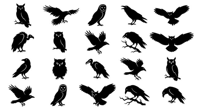 Black silhouette birds collection flying perched isolated transparent