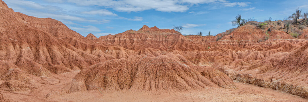 View of Tatacoa Desert red desert with eroded clay formations, cacti, and a blue sky in Villavieja, Huila, Colombia.