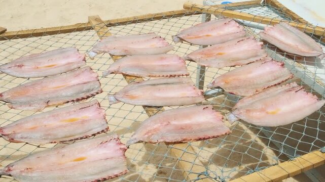 Process of fish fillets drying on mesh rack under tropical sun over sand in Phu Quoc island, Vietnam. Sun drying is traditional seafood preservation technique in Asia. Local food processing