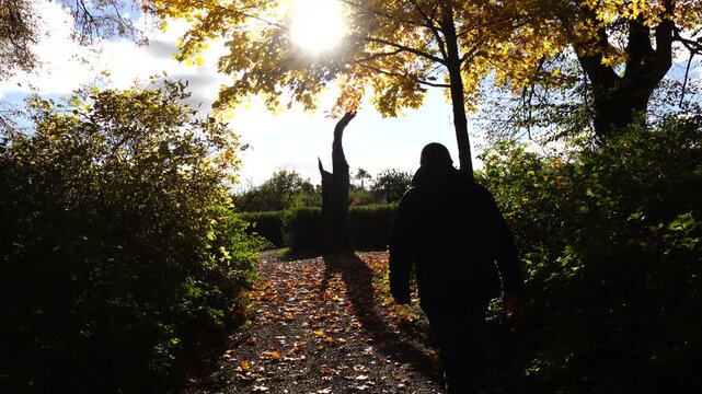 Stockholm, Sweden A man walks through a public park in the golden autumn sunshine. 