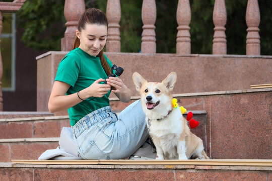 Woman using a handheld gimbal camera to film her Pembroke Welsh Corgi dog outdoors, capturing pet moments for social media, digital content creation and vlogging
