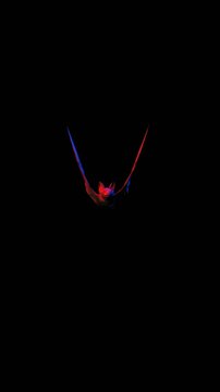 Creepy seamless vertical video of a bat. Halloween terror background isolated with copy space