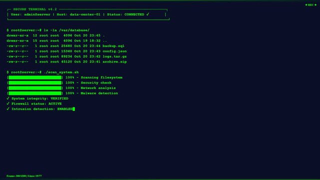 Blue Server Terminal Security Check Backup Rsync Command Line Screen.